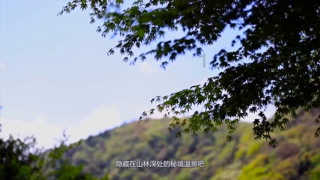 逃离世界杯的现场