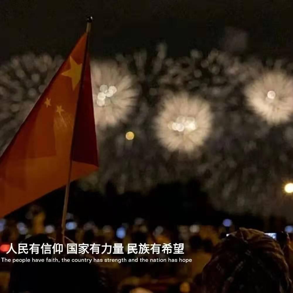 拿破仑：全面战争